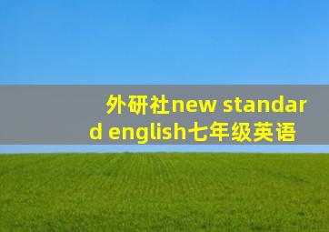 外研社new standard english七年级英语